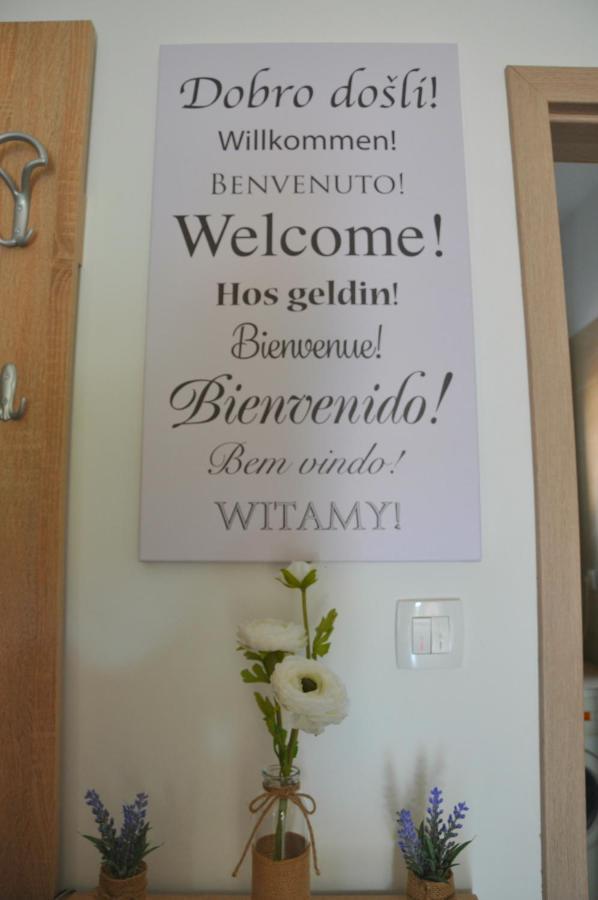 Apartman Tea Privlaka  Esterno foto